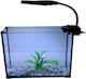 Greek Colal Fish Терариум за влечуги 30x15.2x22см