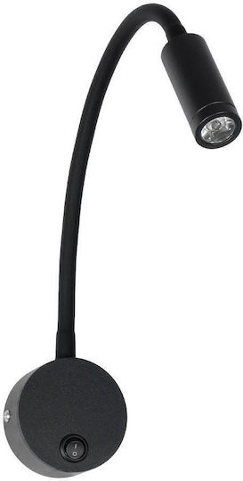 GloboStar 6169 GloboStar 6169