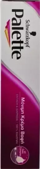Palette Βαφή Μαλλιών 6.55 Ξανθό Σκούρο 60ml