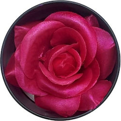 Absolut Beauty Blush Pink