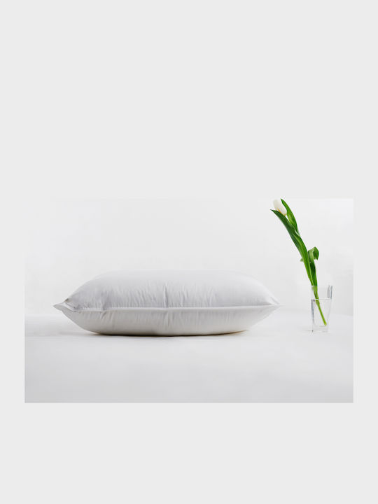 Duo 2 Chamber Pillow New White European Duck Do...