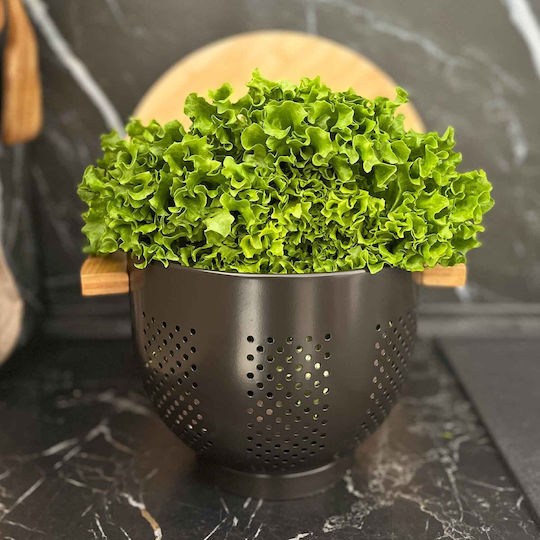 Fruit Bowl Metallic White