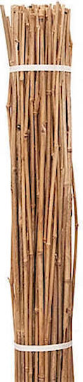 Ecoshadow Gard de Bambus cu Întregul Reed