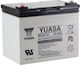 Yuasa Car Battery with 36Ah Capacity