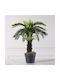 Supergreens Artificial Cycas Mini Plant Green 60 cm