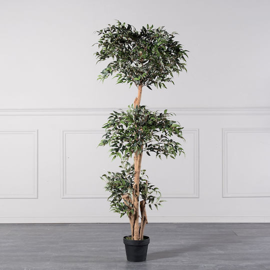 Supergreens Artificial Ruscus Tree Green 150 cm