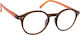 Oramont Reading Glasses +2.00 in Brown color 1129