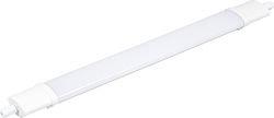 Adeleq Γραμμικό Ασφαλείας LED Adeleq Γραμμικό Ασφαλείας LED