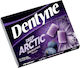 Dentyne Deep Arctic Blackcurrant 16,8gr