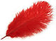 Grajmy razem Feather for Tickling in Red Color