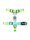 Everking Harness Medium Green
