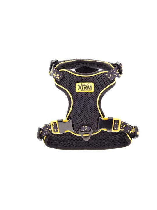 Harness Aria M 61 To 71cm X 2,5cm Black