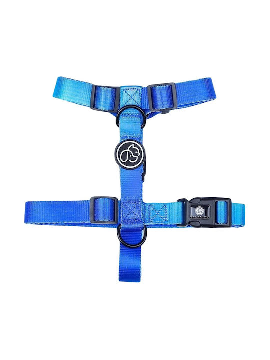 Everking Harness Medium Blue