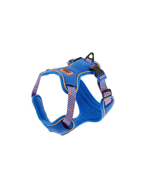 Harness Aria M 61 To 71cm X 2,5cm Blue
