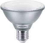 Philips LED Bulb