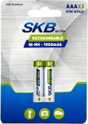 SKB C 1000mAh 1.2V 2τμχ