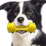 Dog Dental Stick for Medium Breeds