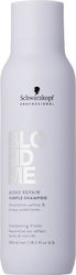 Schwarzkopf Blondme 300ml