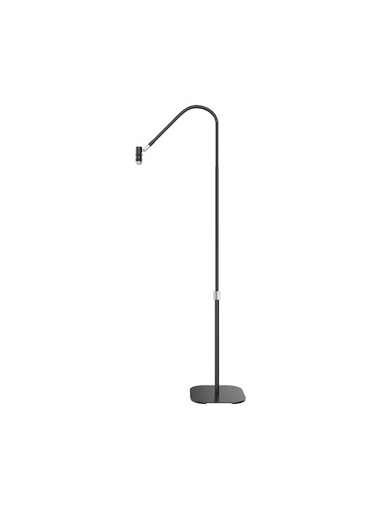 Floor Lamp Black