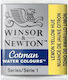 Winsor & Newton Half Pan Watercolour Yellow