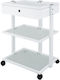 Hair Salon Maintenance Cart