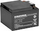 Europower Батерия UPS с Капацитет 28Ах и Напрежение 12V 1бр