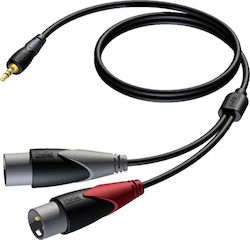 Procab 2 x XLR-Stecker - 3,5 mm Stecker 1,5 m CLA712/1.5