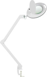 LED Desktop Magnifying Glass X5 Mega