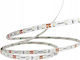 Skoff LED Strip Warm White Light