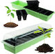 Greenhouse