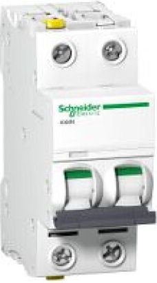 Schneider Electric 2-Poles Panel Push Switch 440V 32A