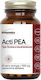 Herbamedica Acti PEA 400mg Добавка за Здравето на Ставите 60 Капсули