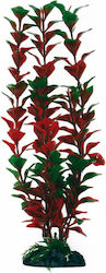 Amtra Ludwigia Md Plants 17cm