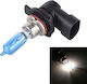 Lamps Car Spotlights HIR2-9012 Halogen 12V 55W 1pcs
