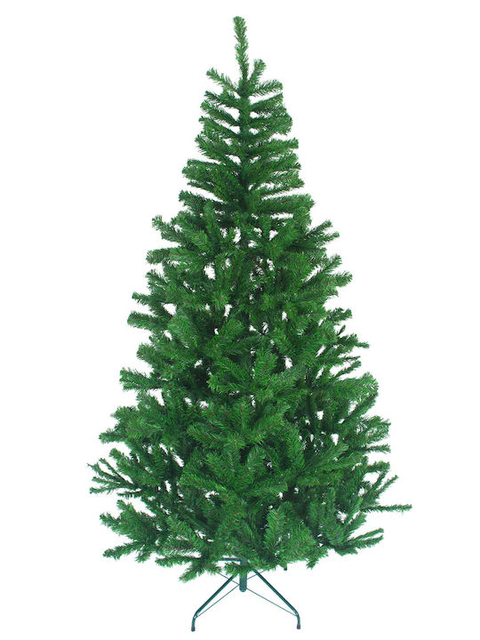 Christmas Tree Colorado 210cm with 900 Branches