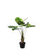 Plantă artificială Pothos 80cm A22178