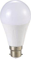 Redled LED Bulb 10W for Socket B22