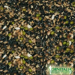 Ornitalia Mischung Greg Germinierbare Cardellini Major Vogelfutter Ornitalia Mischung Greg Germinierbare Cardellini Major Vogelfutter