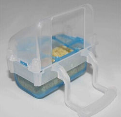 Moldes Ave Bird Feeder
