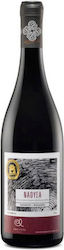 Oinopoieio Argatia Rot Trocken 750ml Oinopoieio Argatia Rot Trocken 750ml