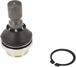 Ball Joint for Nissan D40t '07-'15 Thai Model 24mm Ball Joint for Nissan D40t '07-'15 Thai Model 24mm