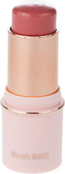 Emmanouela Cosmetics Stick Ρουζ Dusty Rose 6.3gr