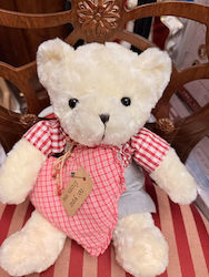 Teddy Bear Beautiful