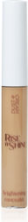 Dust+Cream Rise N Shine Liquid Concealer Medium...