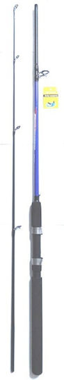 Καλάμι Ψαρέματος για Casting 2.7m 120-250gr