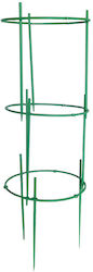Plant Flower Holder Zola Circular Shape Diameter 19 Cm Green