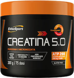 EthicSport Creatina 5.0 Micronized Green Apple Grapefruit 300gr EthicSport Creatina 5.0 Micronized Green Apple Grapefruit 300gr