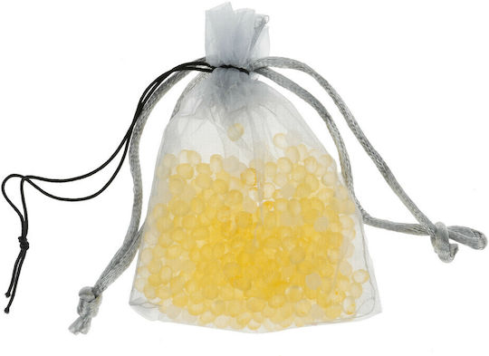 Lampa Hängendes Autoduftöl Vanille 1Stück