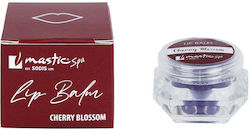 Blossom Lippenpflege Balsam 10gr