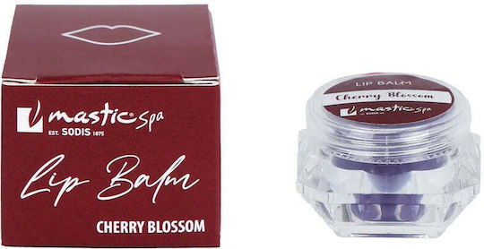 Blossom Lippen Balsam Cherry Blossom 10gr